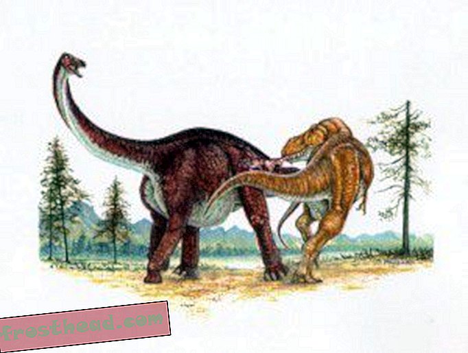 ראה טירנוזאורוס הוצא נשיכה מאלמוזאורוס