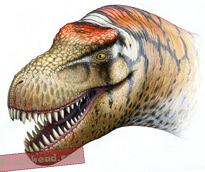 artikkelit, blogit, dinosaurusseuranta, tiede, dinosaurukset - Uusi jättiläinen tyranni, Zhuchengtyrannus