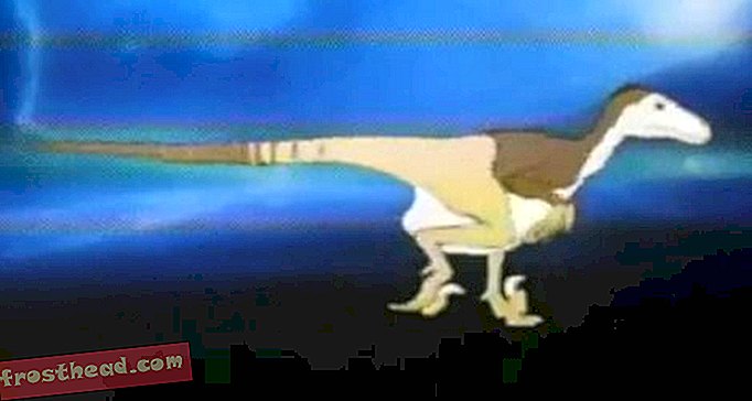 Πώς να μετατρέψετε ένα δεινόσαυρο σε ένα πουλί