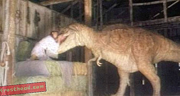artikelen, blogs, dinosaurus volgen, wetenschap, dinosaurussen - Dinosaur Drive-In: Tammy and the T-Rex