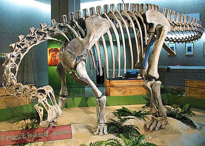 Creați-vă propriul muzeu: Ce dinozauri ai dori să vezi pe ecran?