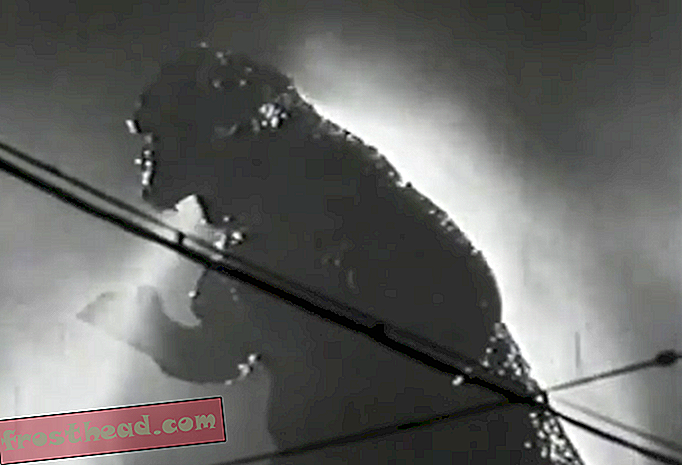 Le dinosaure irradié préféré: Godzilla