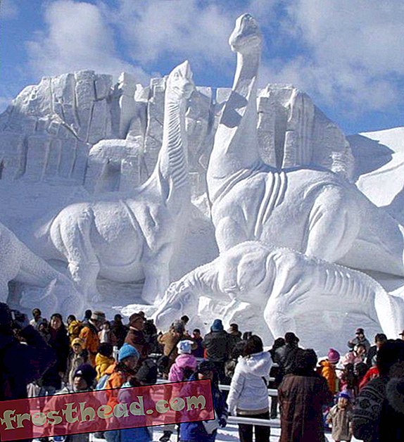 Blog Carnival # 17: Nouveau Paléoblog, sculpture en neige de Sauropod, créationnistes de la Terre jeune et plus…