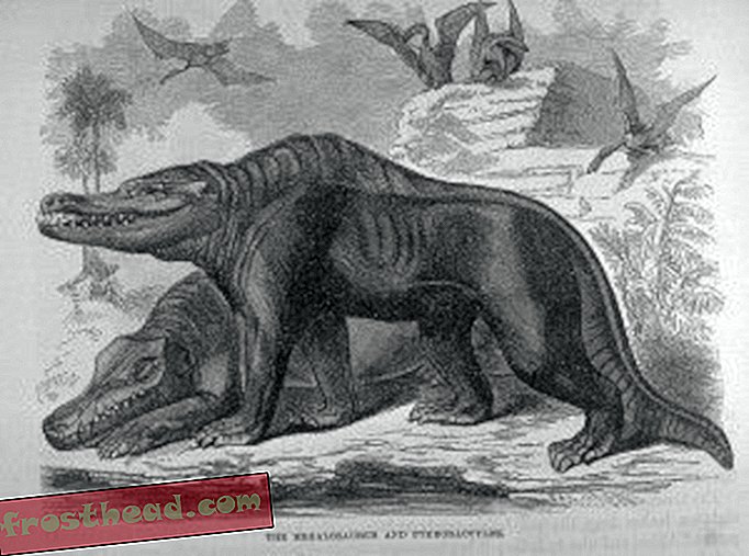 članci, blogovi, praćenje dinosaura, znanost, dinosauri - Zmajevi prošlosti