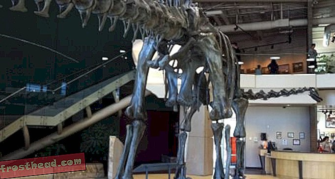 Πώς το έφεραν οι μεγαλύτεροι δεινοσαύροι;