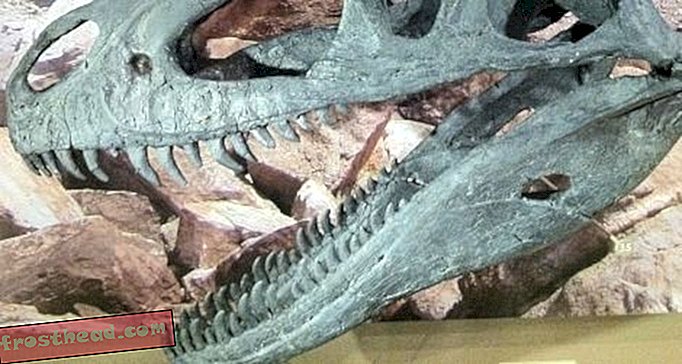 artículos, blogs, seguimiento de dinosaurios, ciencia, dinosaurios - El misterioso Marshosaurus