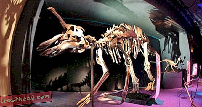 artikler, blogs, dinosaursporing, videnskab, dinosaurier - December Dinosaur Digest