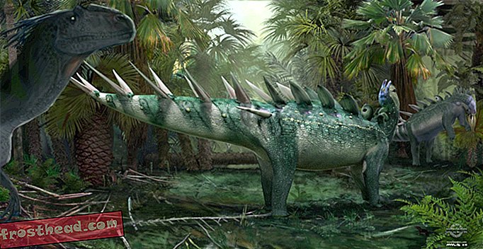 מאמרים, בלוגים, מעקב אחר דינוזאורים, מדע, דינוזאורים - לקנטרזאורוס היה נדנדה אדירה