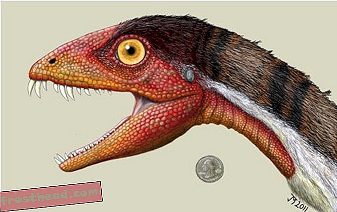 Daemonosaurus bouscule l'histoire des dinosaures