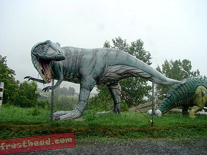 artículos, blogs, seguimiento de dinosaurios, ciencia, dinosaurios - Avistamiento de dinosaurios: terópodo quebequense