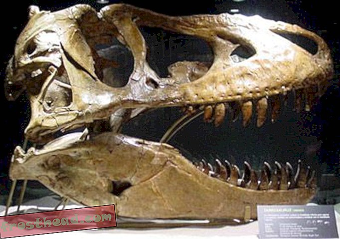 artiklid, ajaveebid, dinosauruste jälgimine, teadus, dinosaurused - Dinosaurus kaob
