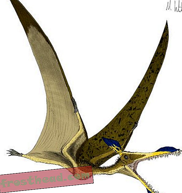 Blogi karneval nr 9 - uued ajaveebid, Pterosauri galerii, Barney Rock ja palju muud