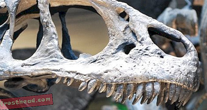 articoli, blog, tracciamento dei dinosauri, scienza, dinosauri - Scene di dinosauri più spettrali del cinema