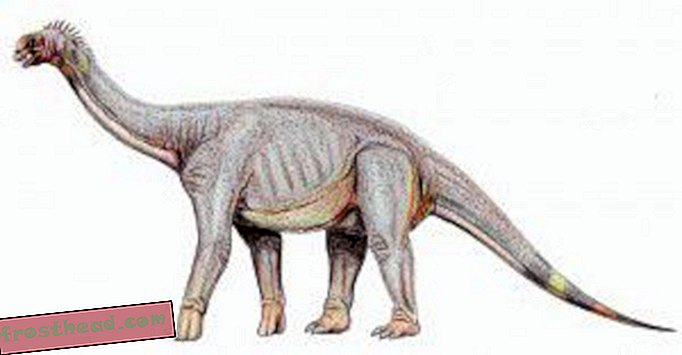articles, blogs, suivi de dinosaures, science, dinosaures - Smithsonian souligne les dinosaures de sa cour arrière