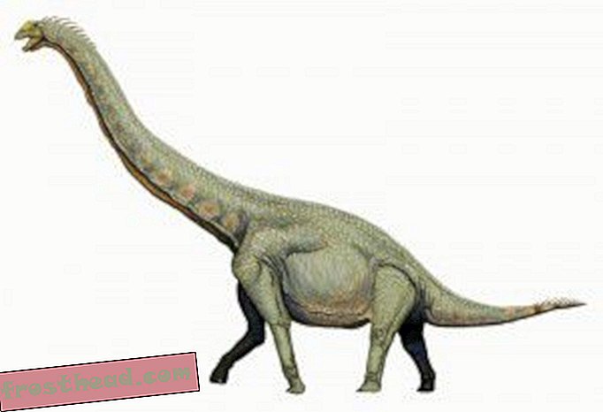 artiklid, ajaveebid, dinosauruste jälgimine, teadus, dinosaurused - Uus uuring soovitab mõnel sauropoodil saavutada lehtede arv kõrge