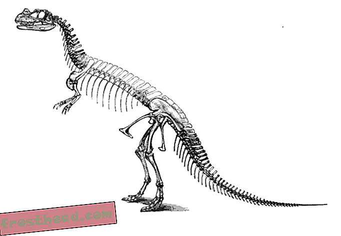 Kaivaminen dinosaurus-tieteen historiaan
