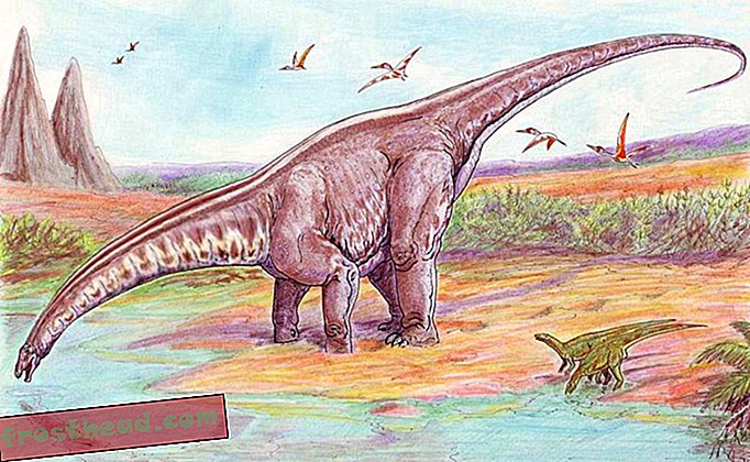 άρθρα, blogs, παρακολούθηση δεινοσαύρων, επιστήμη, δεινόσαυροι - Αποκόμματα δέρματος δεινοσαύρων είναι ένα Ιουραϊκό μυστήριο
