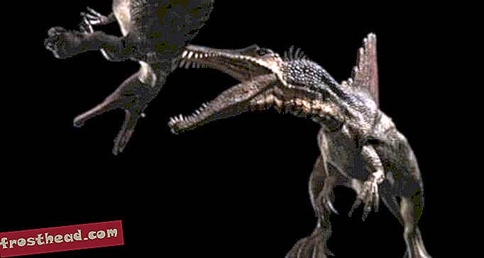artiklid, ajaveebid, dinosauruste jälgimine, teadus, dinosaurused - Stephen Fry dinosauruste maailmas