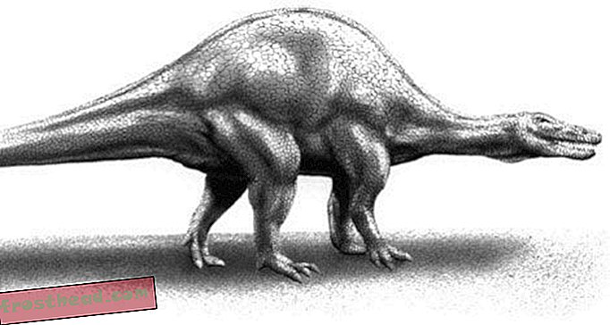 War Spinosaurus ein Bison-Dinosaurier?