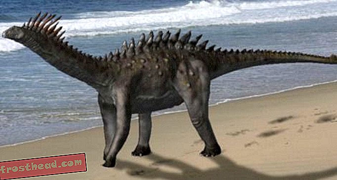 articles, blogs, suivi de dinosaures, science, dinosaures - Armure pour Sauropodes