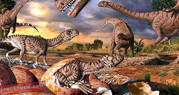artiklid, ajaveebid, dinosauruste jälgimine, teadus, dinosaurused - Paleontoloogid paljastavad vanima teadaoleva dinosauruste pesa saidi