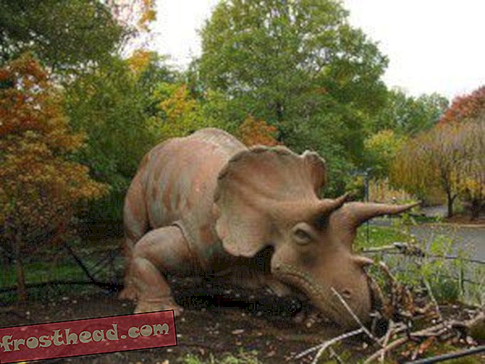Triceratops kansallisessa eläintarhassa