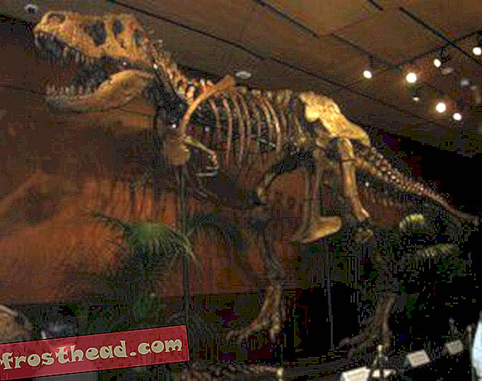 άρθρα, blogs, παρακολούθηση δεινοσαύρων, επιστήμη, δεινόσαυροι - Dino Blog Καρναβάλι # 12 - Εξαφανισμένοι Μάγια, Ακαδημαϊκό Σνούβινγκ, Διακοπές Παλαιοντολόγοι και Σκελετός προς Πώληση