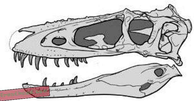 статии, блогове, проследяване на динозаври, наука, динозаври - Alioramus altai: нов, многорог тиран