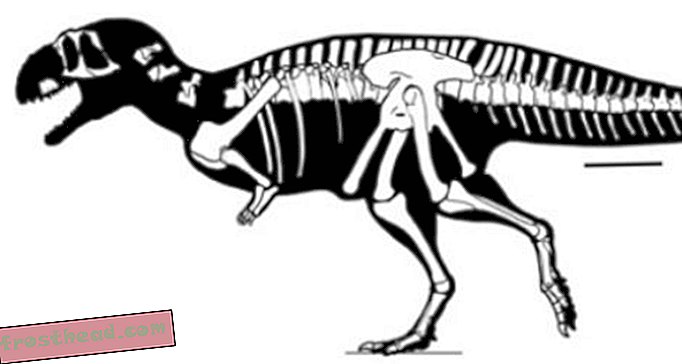 artikel, blog, pelacakan dinosaurus, sains, dinosaurus - Dinosaurus Baru Menunjukkan Fajar Predator Bersenjata Stubby