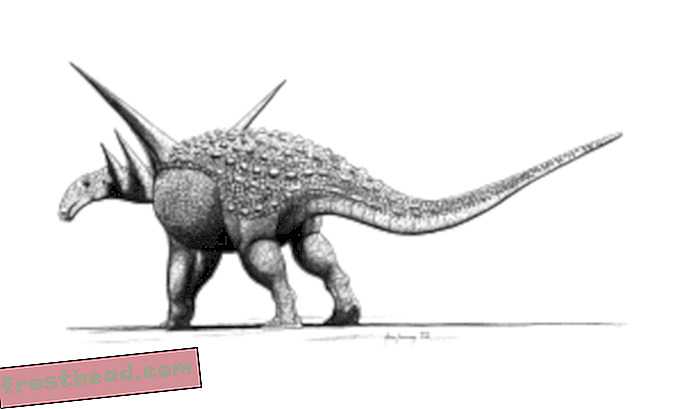 Μια πιο προσεκτική ματιά στο Armor Ankylosaur