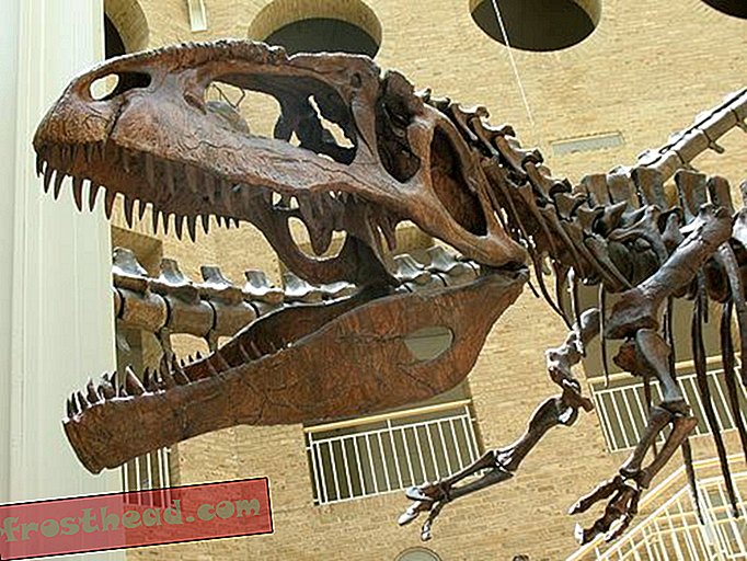 Artikel, Blogs, Dinosaurier-Tracking, Wissenschaft, Dinosaurier - Kelmayisaurus bekommt eine Familie