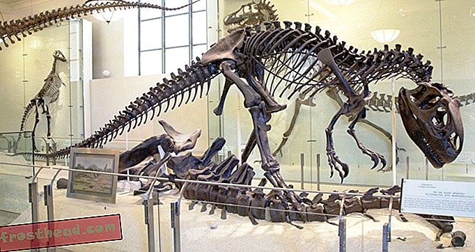 articles, blogs, suivi de dinosaures, science, dinosaures - Les «dinosaures en bataille» d'AMNH se divisent