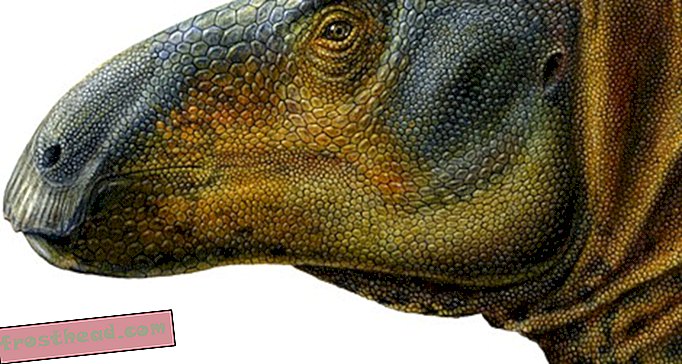 artikler, blogs, dinosaursporing, videnskab, videnskab, dinosaurier - Piecing Together Eolambia