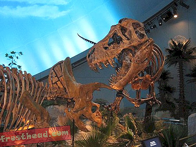 artikkelit, blogit, dinosaurusseuranta, tiede, dinosaurukset - Siirry dinosfääriin