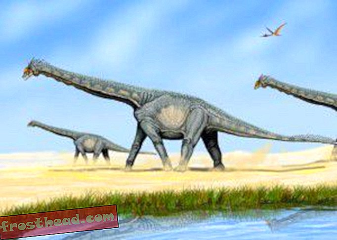 artikler, blogs, dinosaursporing, videnskab, dinosaurier - Husk Alamosaurus