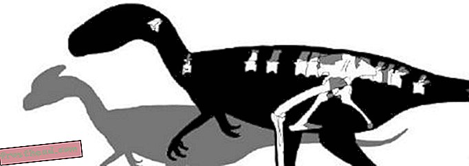статьи, блоги, слежение за динозаврами, наука, динозавры - Английский юрский тиран