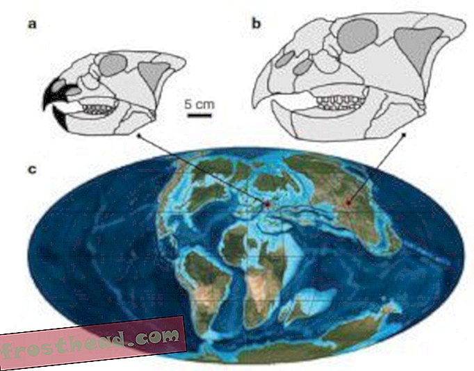 Island-Hopping Ceratopsians sai sen Eurooppaan