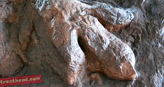 Paleontolozi prate dinosaure u blizini Las Vegasa