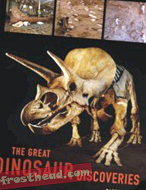 članci, blogovi, praćenje dinosaura, znanost, dinosauri - Nova knjiga: Velika otkrića dinosaura