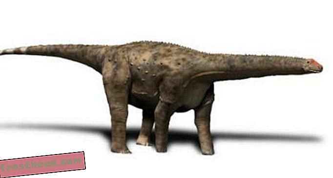 Hvem var den første til at opdage dininosauræg?