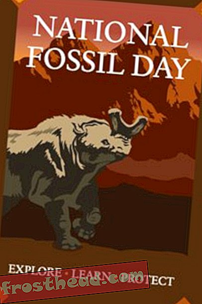 Bist du bereit für den National Fossil Day?