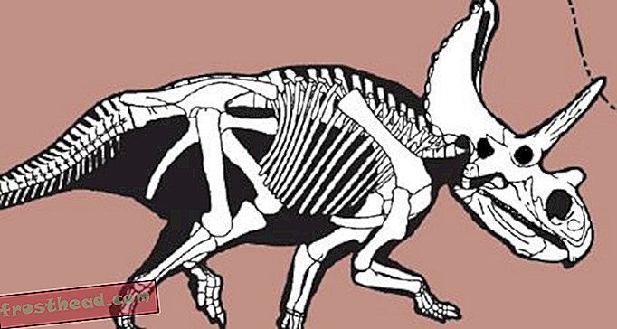 articole, bloguri, urmărirea dinozaurilor, știință, dinozauri - A este pentru Agujaceratops