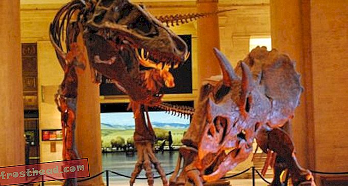 articles, blogs, suivi de dinosaures, science, dinosaures - La voie du dinosaure
