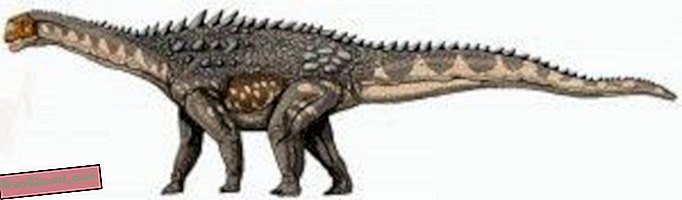artiklid, ajaveebid, dinosauruste jälgimine, teadus, dinosaurused - Kust on kõik sauropoodid läinud?