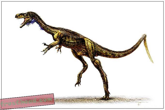 članci, blogovi, praćenje dinosaura, znanost, dinosauri - Eodromaj dodaje kontekst podrijetla dinosaura