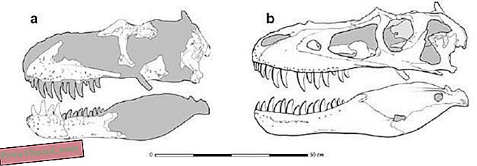 טרטופונוס: הטירנוזאור החדש והמפלצתי של יוטה