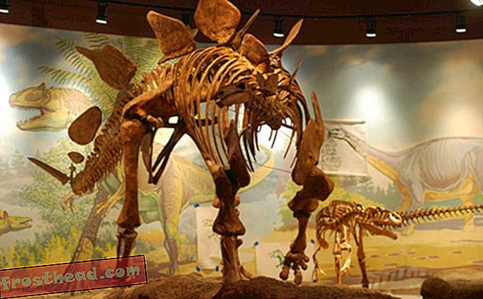 Dinosaur Diamond: Utah Field House of Natural History