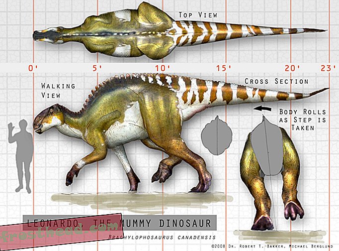 artikler, blogs, dinosaursporing, videnskab, dinosaurier - Dino Blog Carnival: Udgave # 1