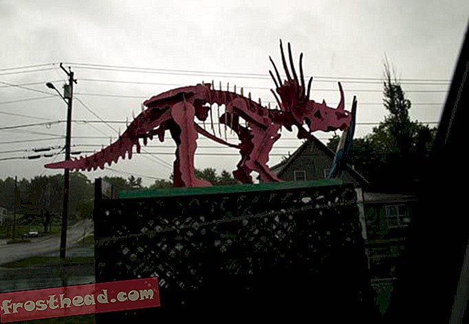 Dinosaurusten havaitseminen: Mainen vaaleanpunainen triceratops