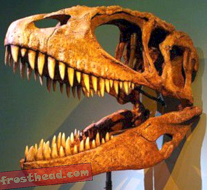 लेख, ब्लॉग, डायनासोर ट्रैकिंग, विज्ञान, डायनासोर - एशिया के प्राचीन "शार्क दांत ड्रैगन" के लिए एक नया रूप
